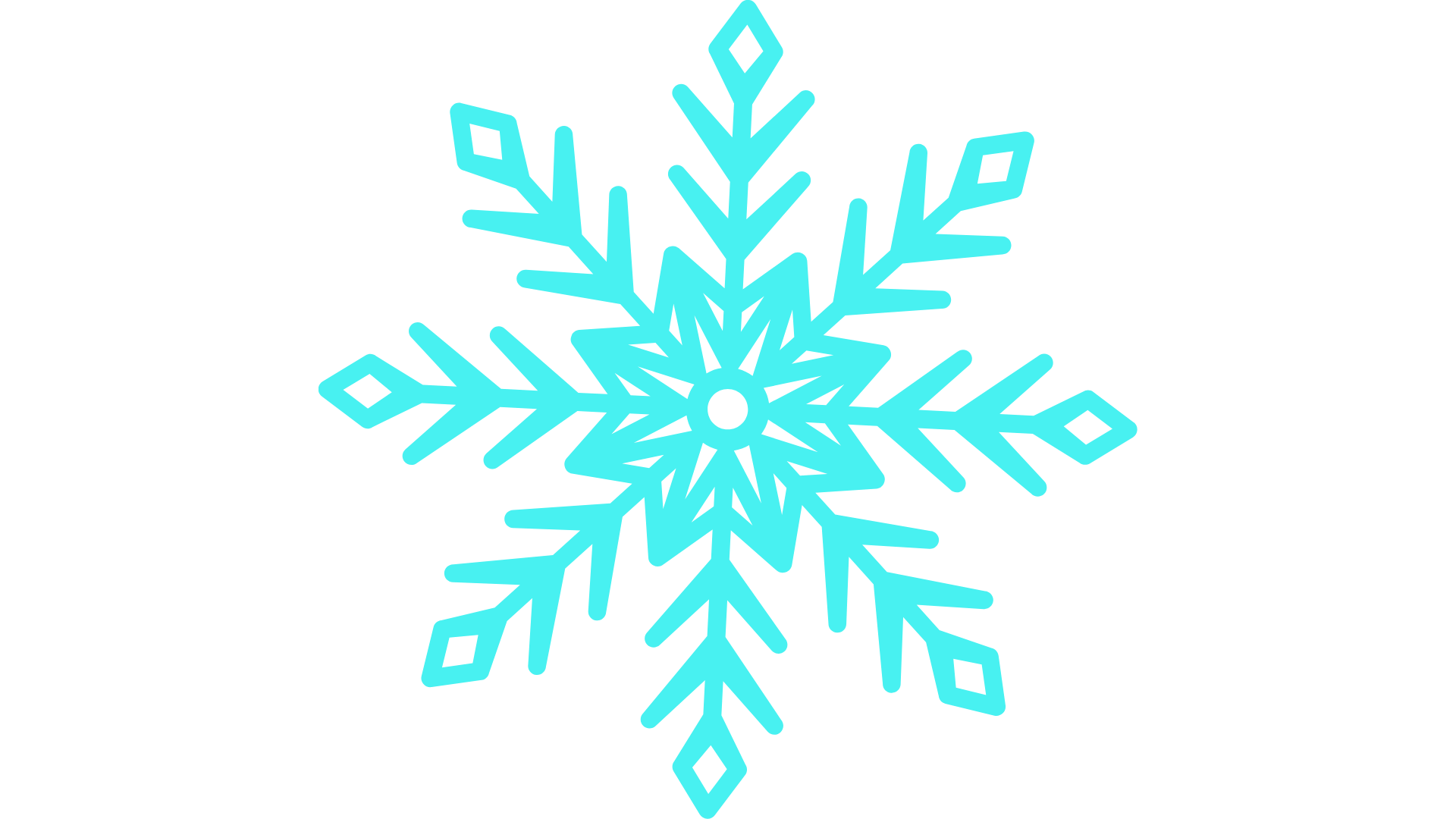 Schneeflocke-1.png